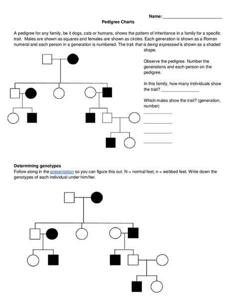 A <b>pedigree</b> is a <b>chart</b> that shows the inheritance of a trait over several generations. . Pedigree chart worksheet middle school